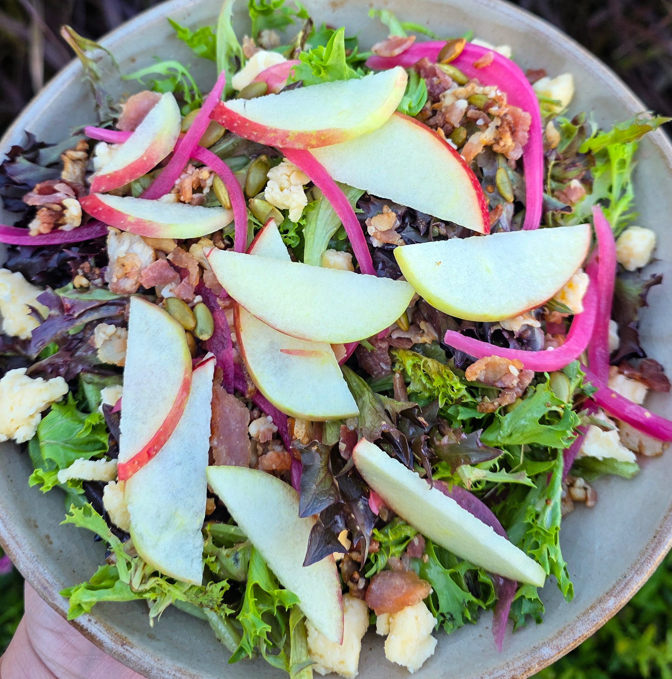 Mick Klug Farms Apple Salad
